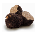 Truffle Products