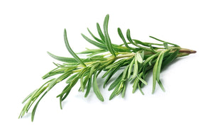 Infused First Cold Pressed Extra Virgin Olive Oil - Rosemary