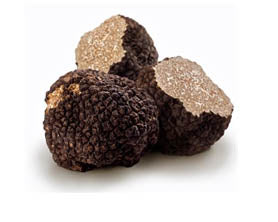 Fresh Truffles (Tuber Uncinatum)